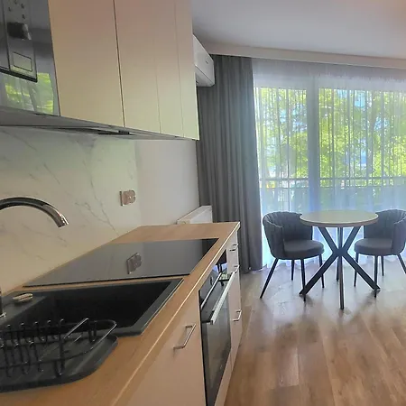 Lipowa Apartment *
